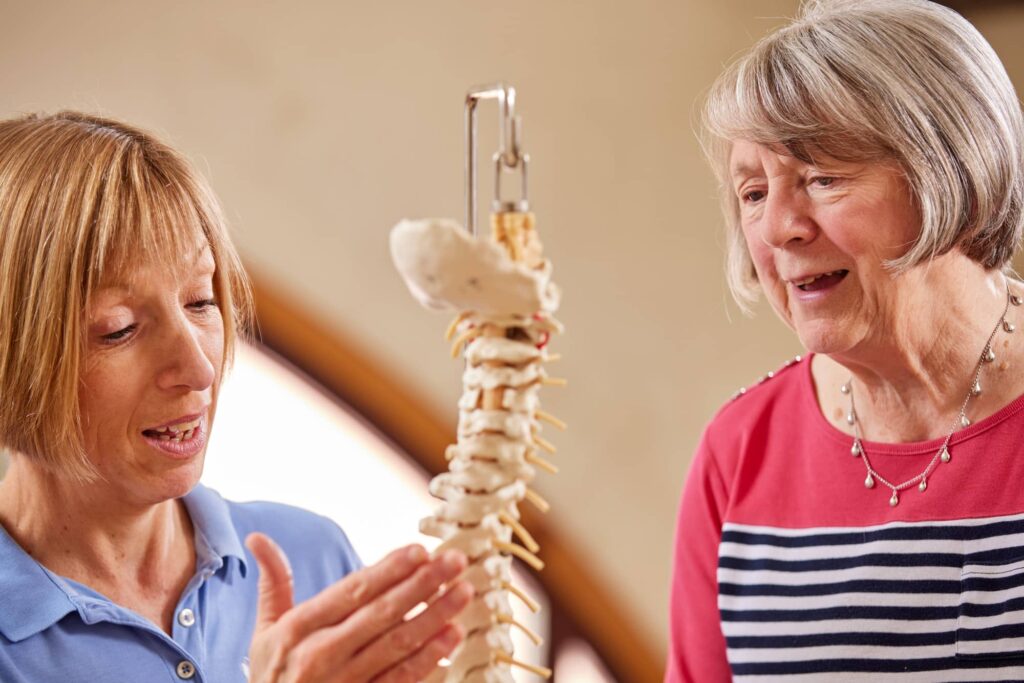 Physiotherapist looking at a spine with a patient